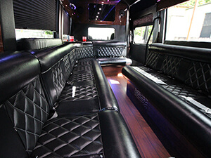 tampa bay party bus