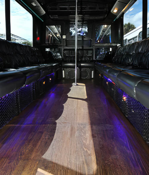 18-passenger party bus rental Tampa