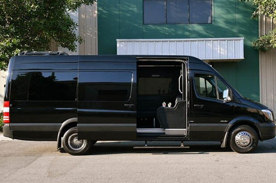 12-passenger Sprinter van Tampa