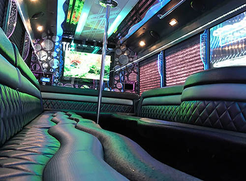 26-passenger Tampa party bus