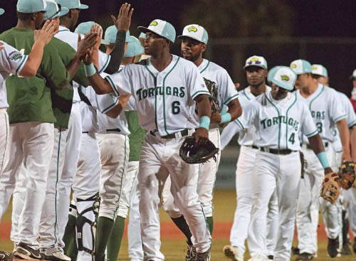 Daytona Tortugas