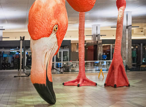 Flamingo statue at Tampa International Airport TPA